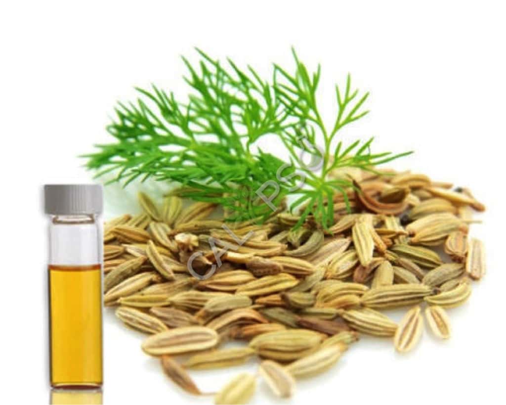 Buy Pure Dill Seed Essential Oils